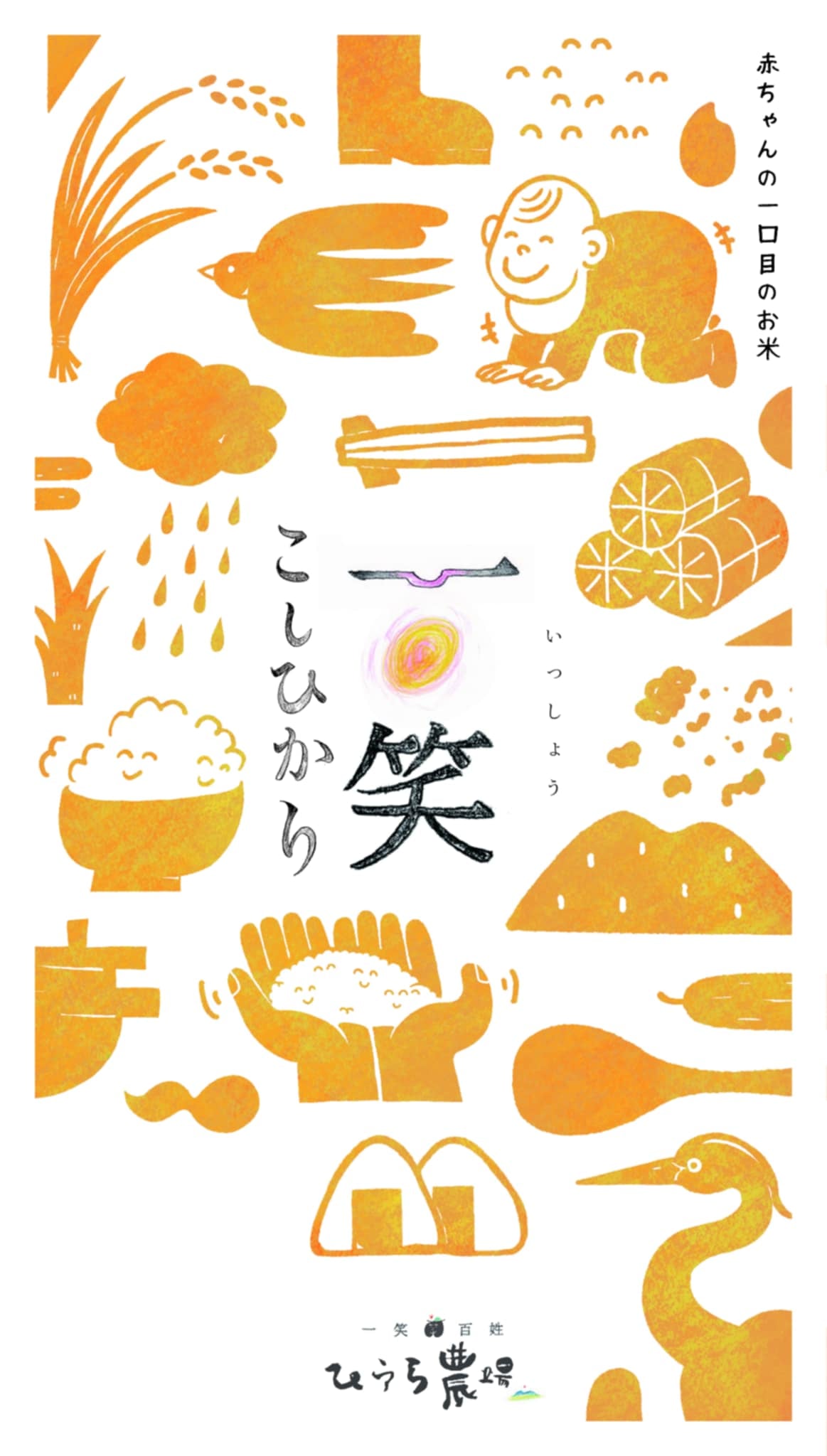 一笑こしひかり 赤ちゃんの一口目のお米