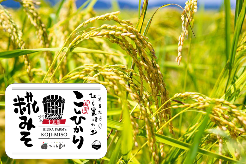 ひうら農場の新潟こしひかり糀みそ