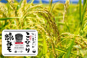 ひうら農場の新潟こしひかり糀みそ