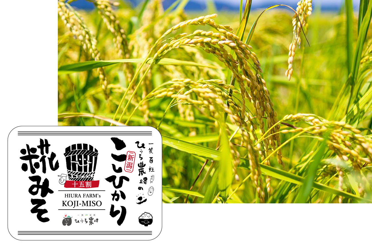 ひうら農場の新潟こしひかり糀みそ
